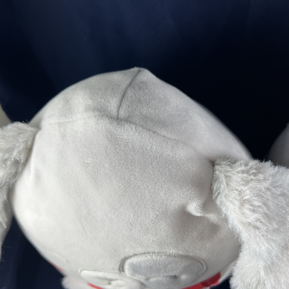 2022 Christmas Squishmallows Soft Plush Toys  Ivy the Dog and Cam the Cat Winter - Picture 10 of 11